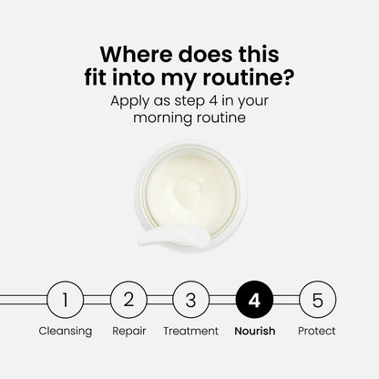 Q10 Bundle: Oil + Serum + Day and Night Cream