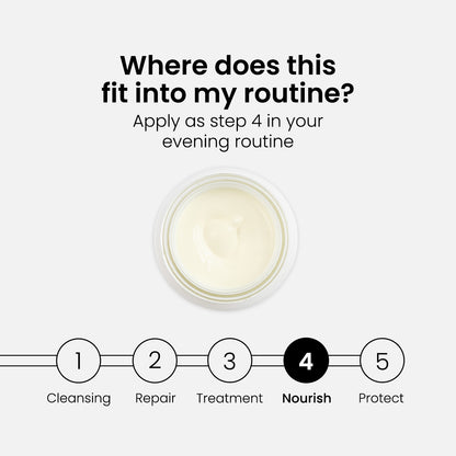 Q10 Bundle: Oil + Serum + Day and Night Cream